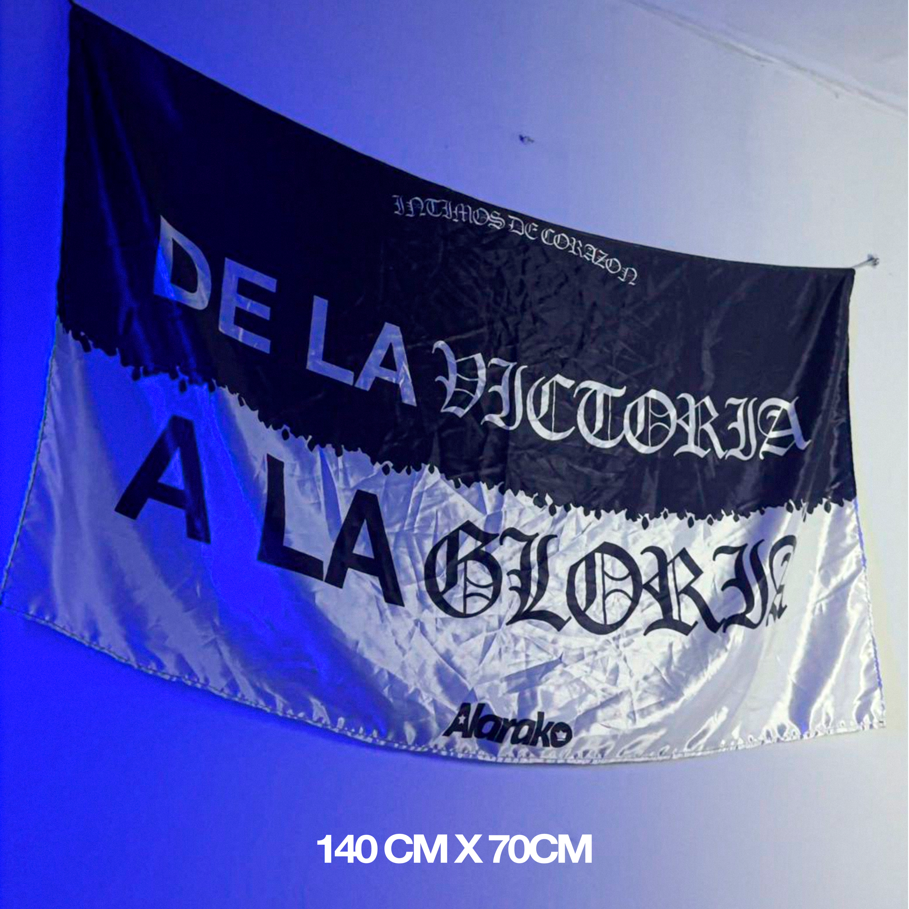 BANDERA DLVALG